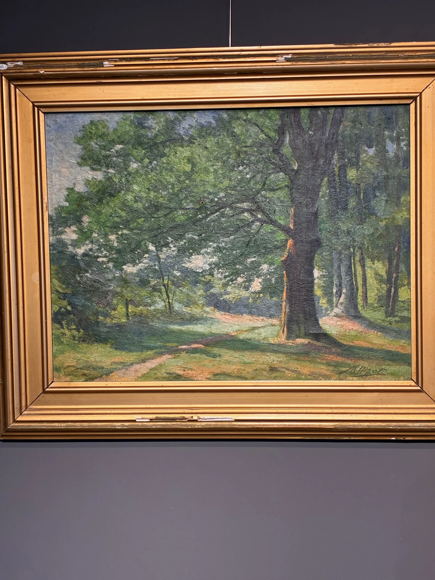 Huile sur toile - Forêt ensoleillée - Signée Nizet 