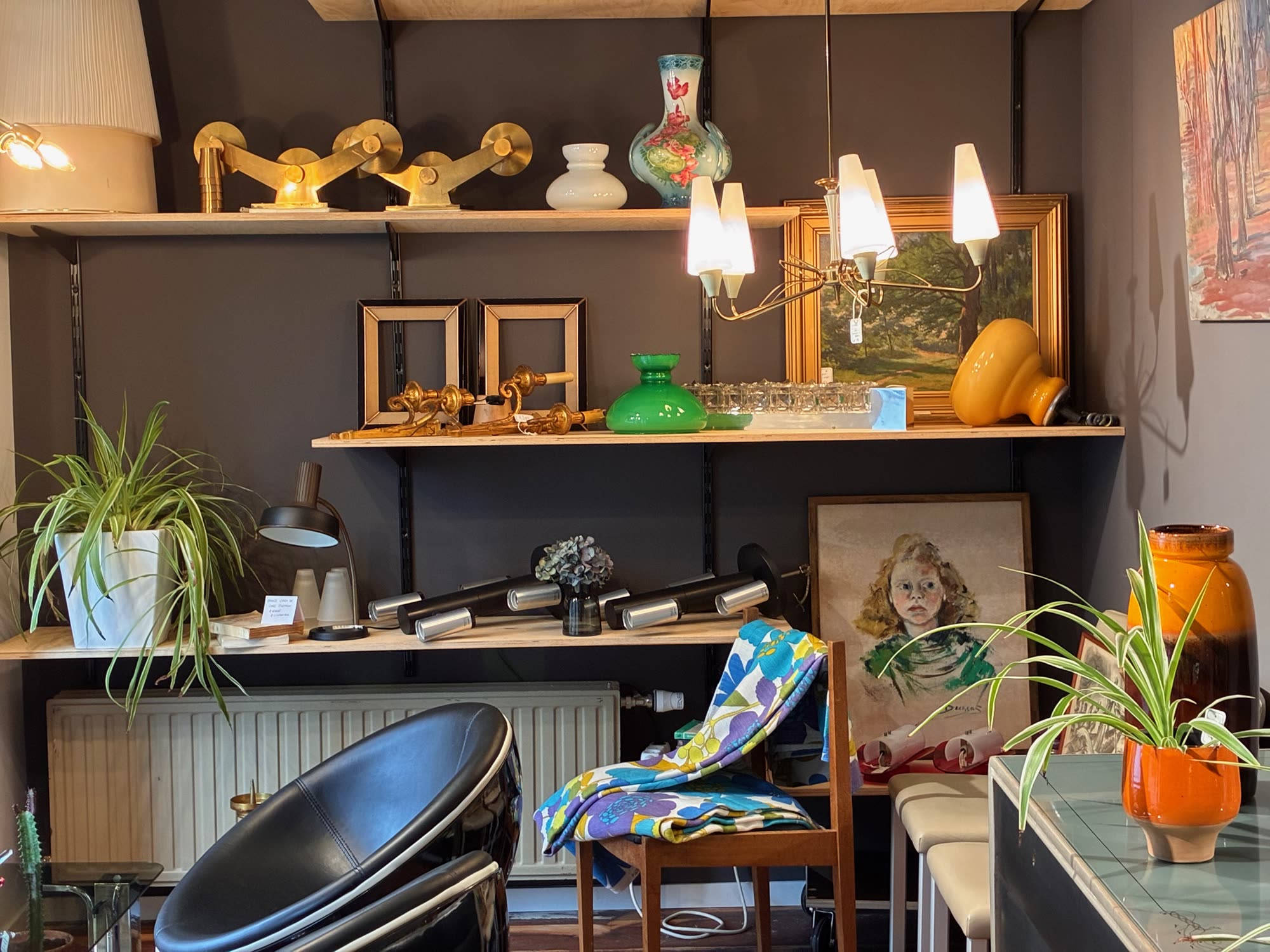 La vitrine du magasin Atelier Sauvage vue depuis la rue